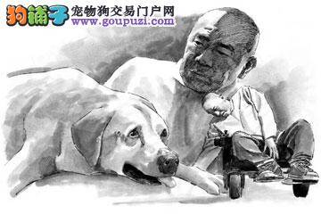 感人肺腑的救助犬最后“遗言”