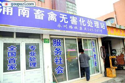 宠物店代客火化狂“吸金”火化宠物暗藏暴利