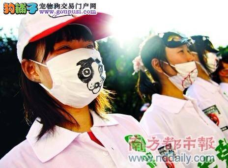 广东30多名志愿者高举宣传牌，倡议人们不要吃猫狗肉