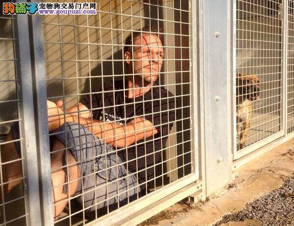 法国男子把自己关笼里 只为了这300只狗狗