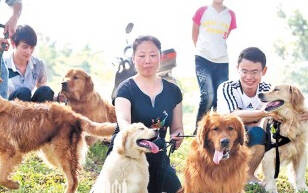 萌犬公园聚会 爱狗发烧友欢聚一堂