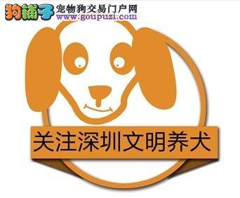 城管局委托辖区宠物医院为犬办理证书 市民拍手叫好