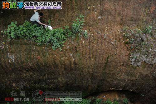 消防员变身“蜘蛛侠”救落崖小狗