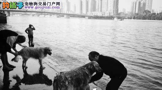 春节期间老人们带着宠物狗一起畅游珠江