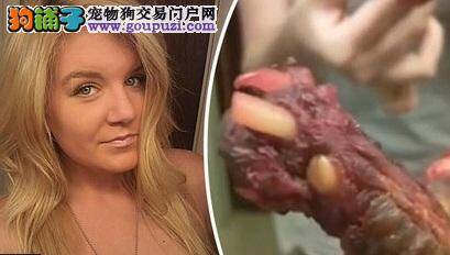 外卖红烧肋排打开惊见狗腿，女子忍吐控诉