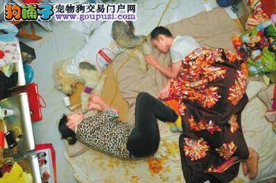 无法割舍的爱 成都爱犬夫妻与狗狗一起对抗病魔