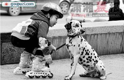 杭州春节宠物寄养一笼难求 有主人送宠物去上海