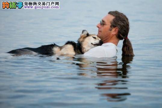 青岛启动规范养犬集中行动 千余条犬得到安置