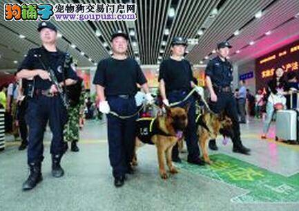 三百余名警察携带警犬与枪支在南京南站巡逻