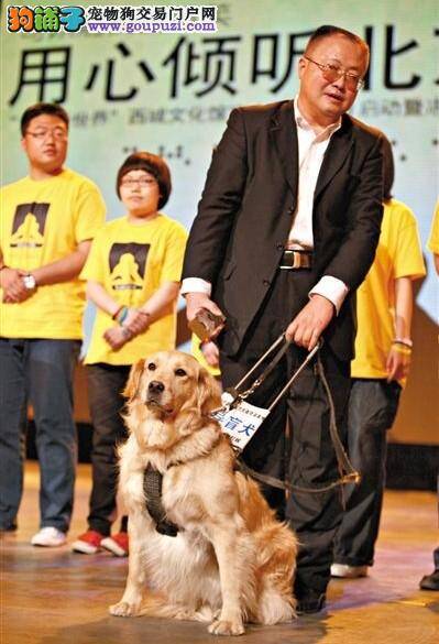 北京导盲犬强制免疫后可乘交通工具