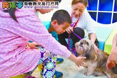 铁路部门出台新规定 残障旅客可携带服务犬进站乘车