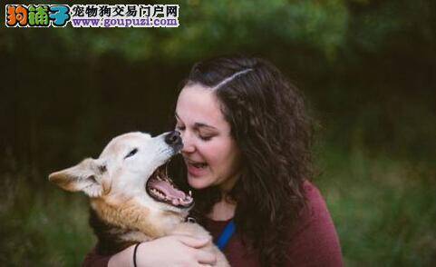 与爱犬生活十六载 狗狗离世前主人拍摄照片纪念