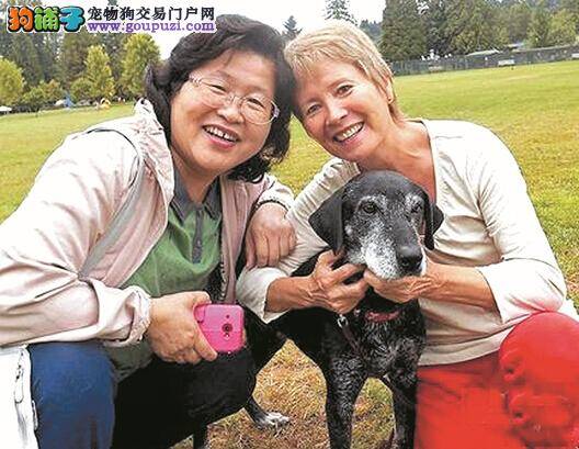 第四届慈展会在深圳举行 市民可体验导盲犬导航能力