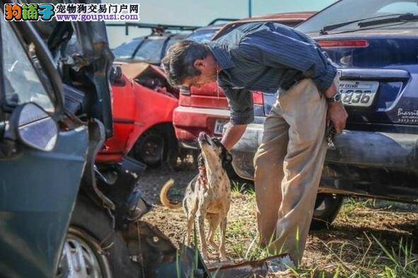 北京华盛达犬业黑店，望大家注意