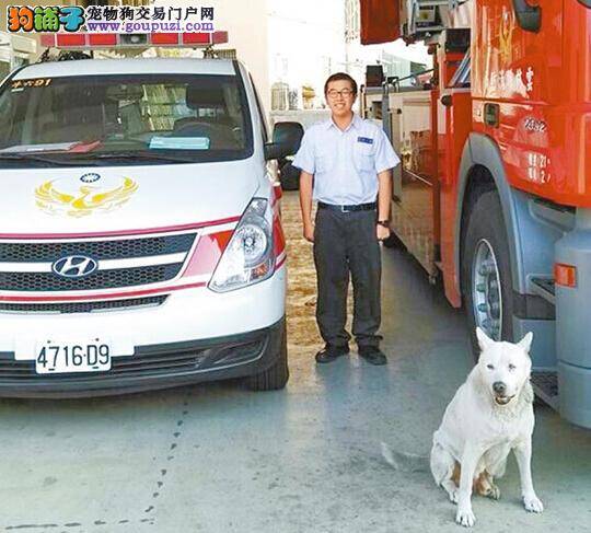 台湾消防犬小白病逝 消防队员们痛心送别