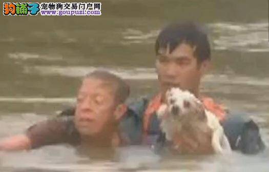 洪灾中千钧一发，暖男救一人一狗