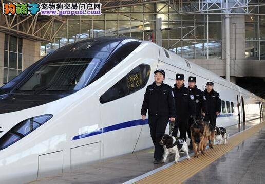 深圳多地增配警犬保障公共场所安全
