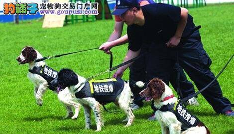 搜爆犬接受训练迎接无锡地铁开通