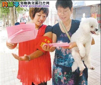 郑州开展文明养犬活动希望市民积极参与