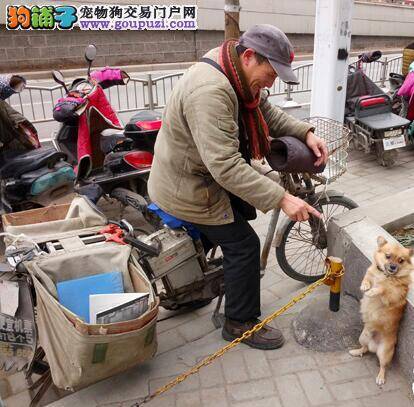 主人送快递爱犬守在原地帮主人看车