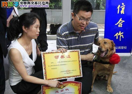 高龄搜爆犬光荣“退休”并举行退役交接认领仪式