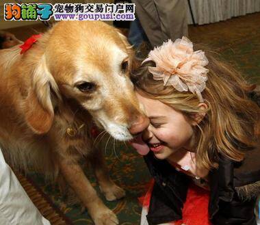 据研究表明：自闭症儿童更愿意和宠物狗交流