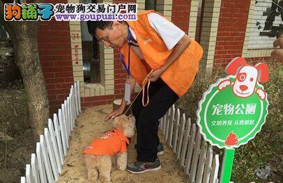 上海公共遛狗区设立宠物厕所 志愿者定期清理卫生