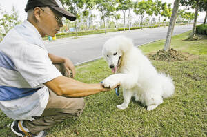 杭州市开展狂犬疫苗集中注射