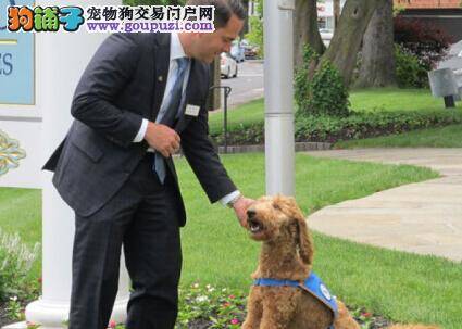 缉毒犬集体亮相广州 海关总署启动缉毒专项行动