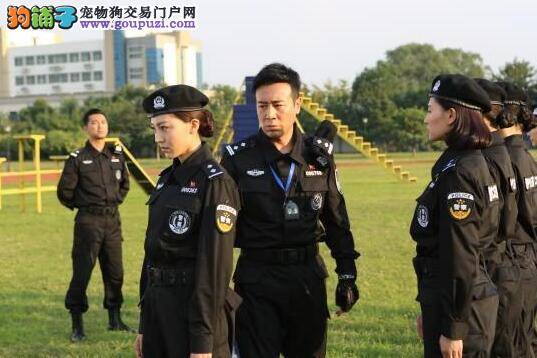 《警花与警犬》亮相研讨会 众多主创人员探讨新思路