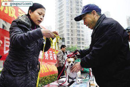 文明养犬倡议活动得到了热心商家和宠友的积极响应