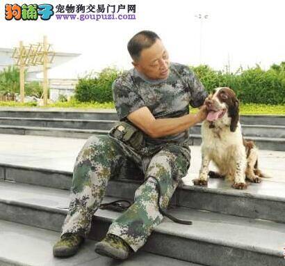 检疫犬在四川出入境检疫局上岗被称为"国门新卫士"