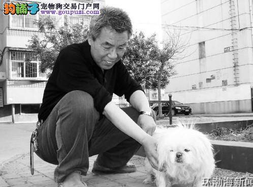 狗狗中的老寿星——20岁的京巴犬