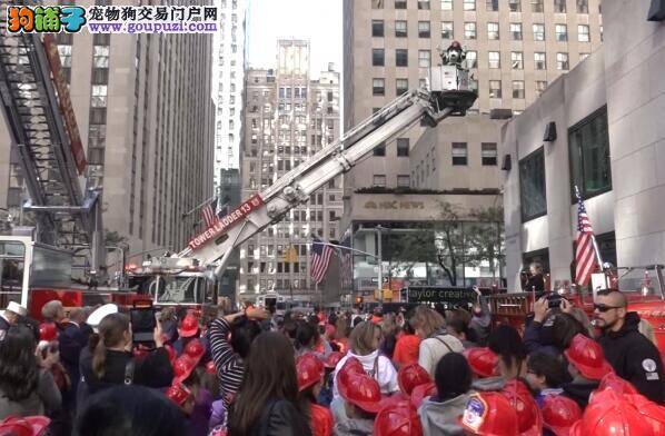 玩偶狗狗出席消防演习 三百学童收获满满