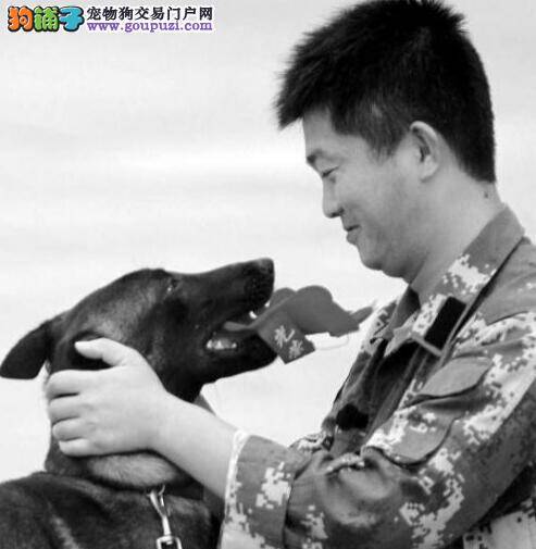 训犬员退伍不忍离开 搜救犬恋恋不舍场面感人