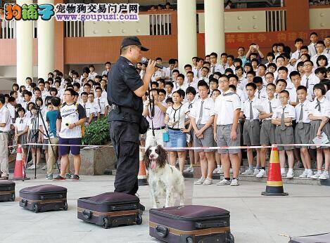 缉毒犬现场查毒 众师生观看表演