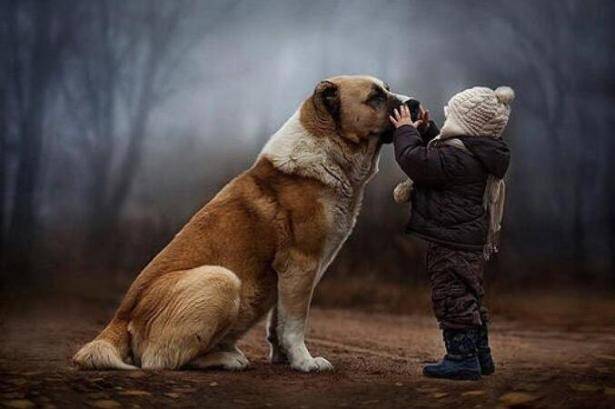 狗狗会成为孩子的美好回忆，看这些照片真实暖爆啦
