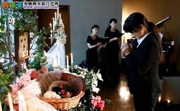 日本昂贵的宠物葬礼 一只狗花费近七千