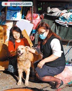 台版"忠犬小八"上演一忠心狗车站痴等入狱主人