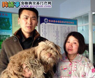 主人看背影识狗狗 忠犬与主人重逢情绪激动