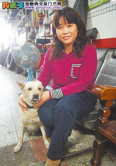 人狗情谊成佳话 主人迷路忠犬时刻紧随