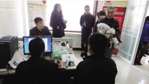 哈尔滨市工作人员为市民解答办理狗狗证书的疑惑