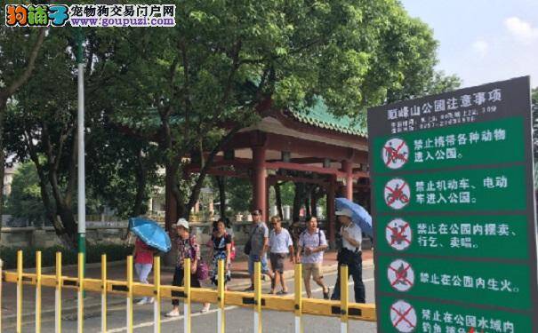 狗狗止步！顺峰山公园禁止游客携带犬只入园