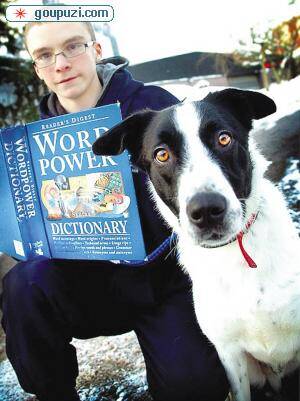 只听过波兰语的小狗1个月内“学会”英语