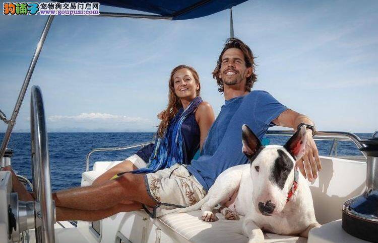 巴西情侣带爱犬航行21国 辞去高薪工作