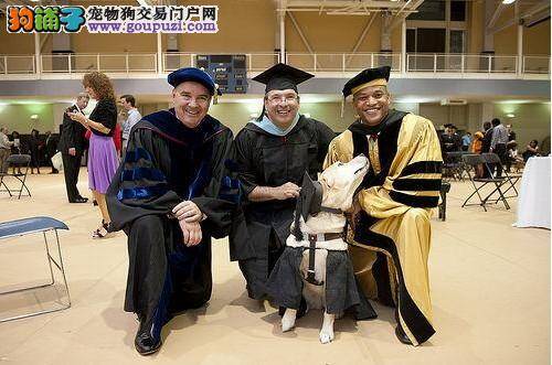 狗狗陪同主人完成硕士学位的课程被授予“荣誉学位”