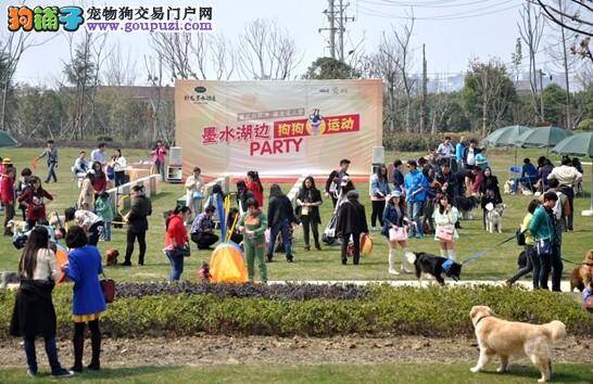 萌宠运动会在卧龙墨水湖正式开启