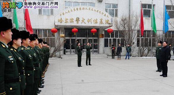 省领导到哈尔滨警犬训练基地进行视察和慰问