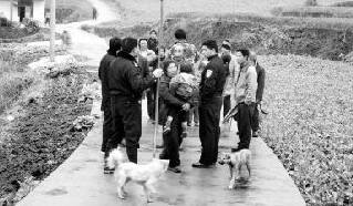 女孩深山里迷路，两只小狗守护小主人免遭野兽侵袭