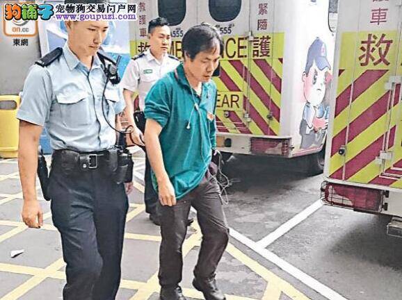 警犬冲出犬舍   咬伤清洁工人